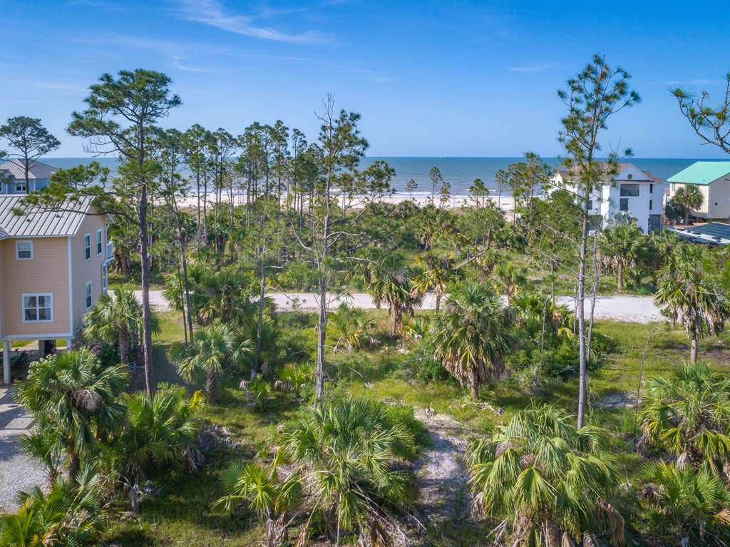 Lot 18 Painted Pony Rd Port Street Port St. Joe, FL 32456 - Photo 5 of 22