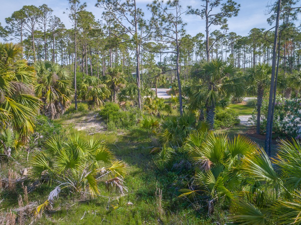 Lot 18 Painted Pony Rd Port Street Port St. Joe, FL 32456 - Photo 6 of 22