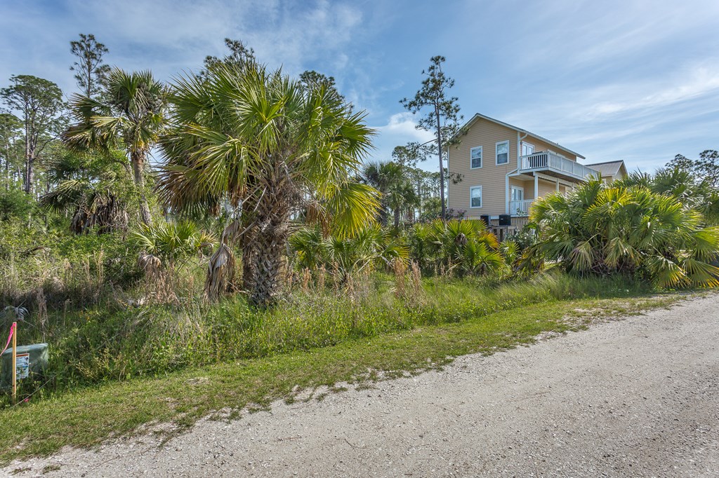 Lot 18 Painted Pony Rd Port Street Port St. Joe, FL 32456 - Photo 8 of 22