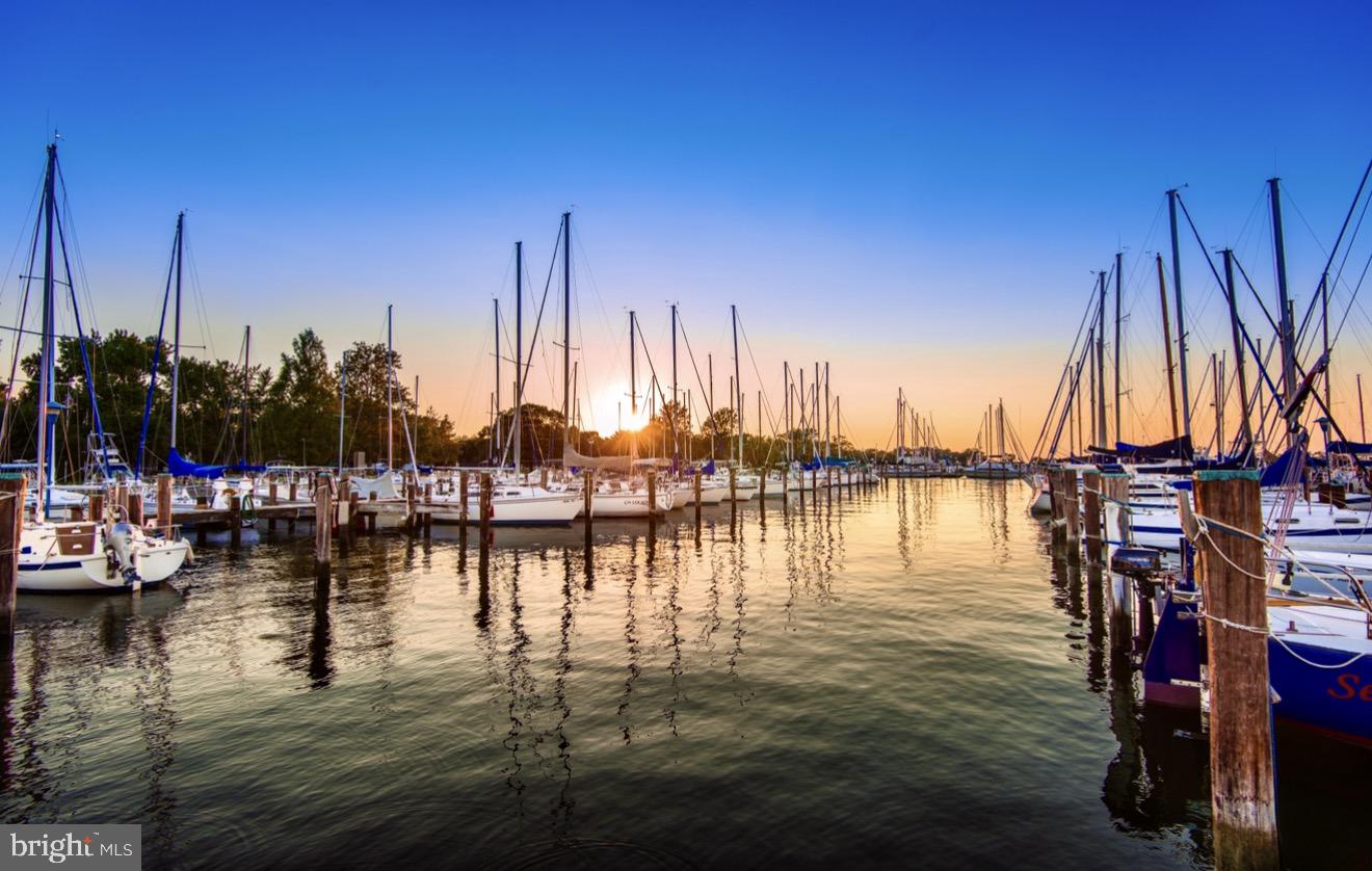 700 Church Street Cambridge, MD 21613 - Photo 38 of 39 Marina downtown Cambridge