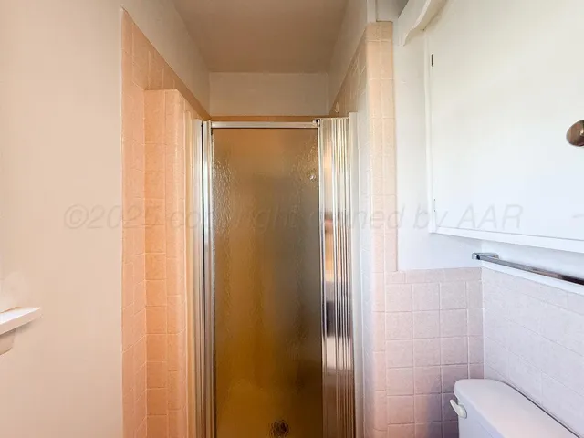 a bathroom with a shower and a toilet