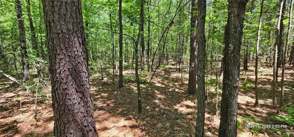 $570,150 | 3230 East County Road 3230, Clarksville, TX 75426