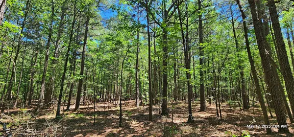 $570,150 | 3230 East County Road 3230, Clarksville, TX 75426