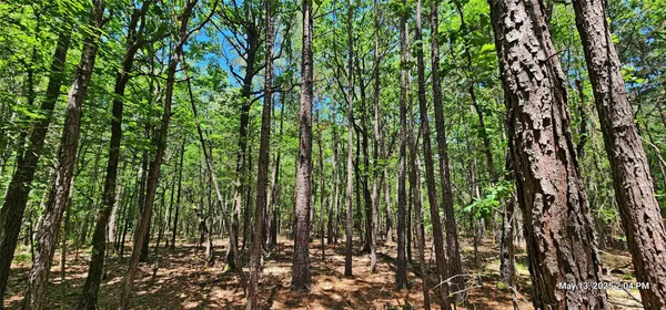 $570,150 | 3230 East County Road 3230, Clarksville, TX 75426