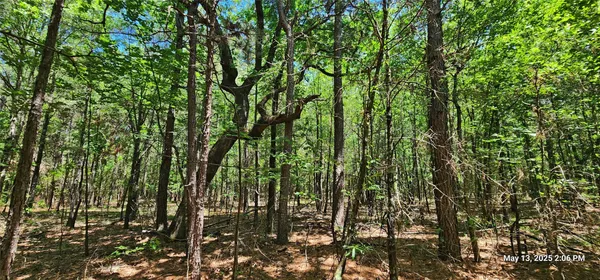 $570,150 | 3230 East County Road 3230, Clarksville, TX 75426