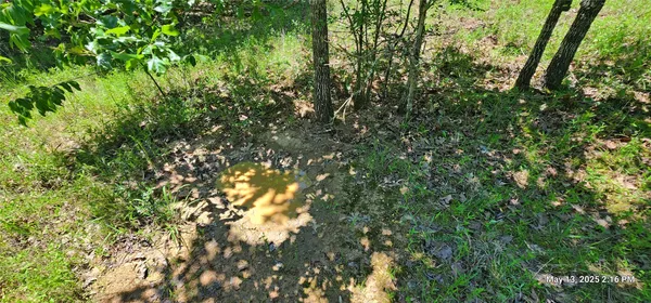 $570,150 | 3230 East County Road 3230, Clarksville, TX 75426