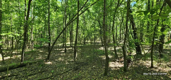 $570,150 | 3230 East County Road 3230, Clarksville, TX 75426