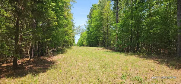 $570,150 | 3230 East County Road 3230, Clarksville, TX 75426