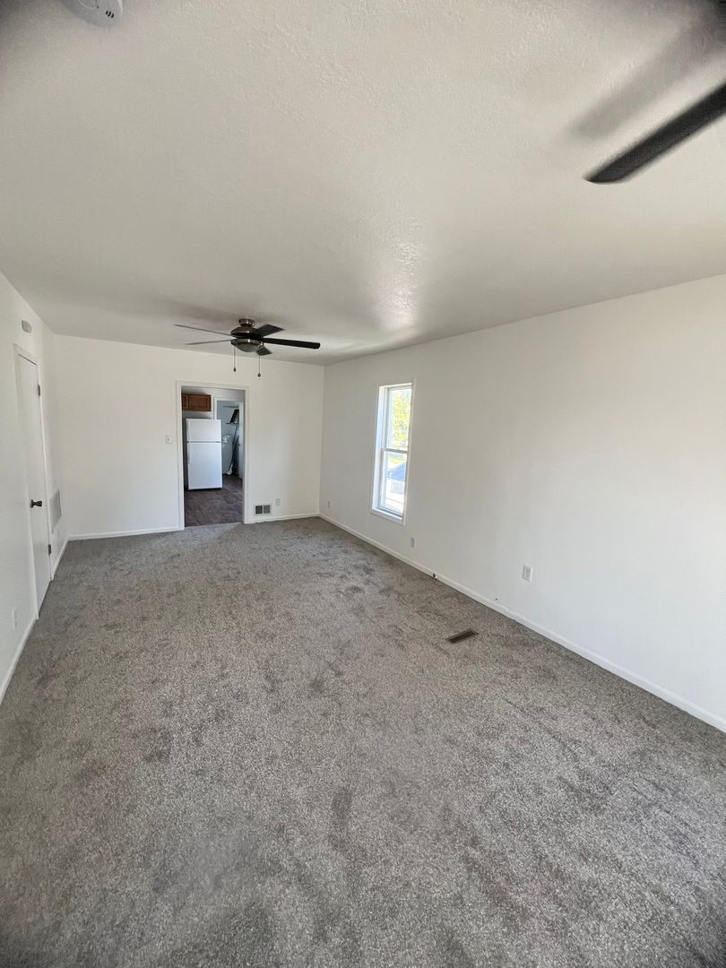 273 South 3rd Avenue Kankakee, IL 60901 - Photo 4 of 12