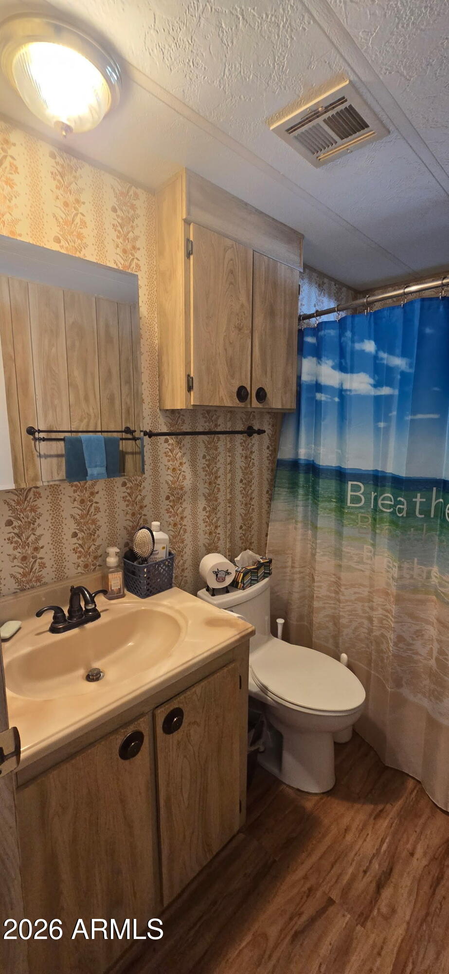 800 West Apache Trail, Unit 18 Apache Junction, AZ 85120 - Photo 16 of 20 a bathroom with a sink toilet and a mirror