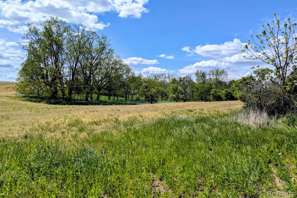 Parcel D - Hogan Road Linden, MI 48451 - Photo 4 of 19