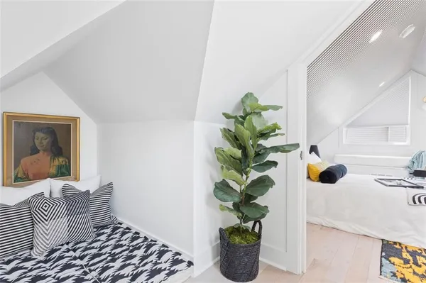 a room with a potted plant