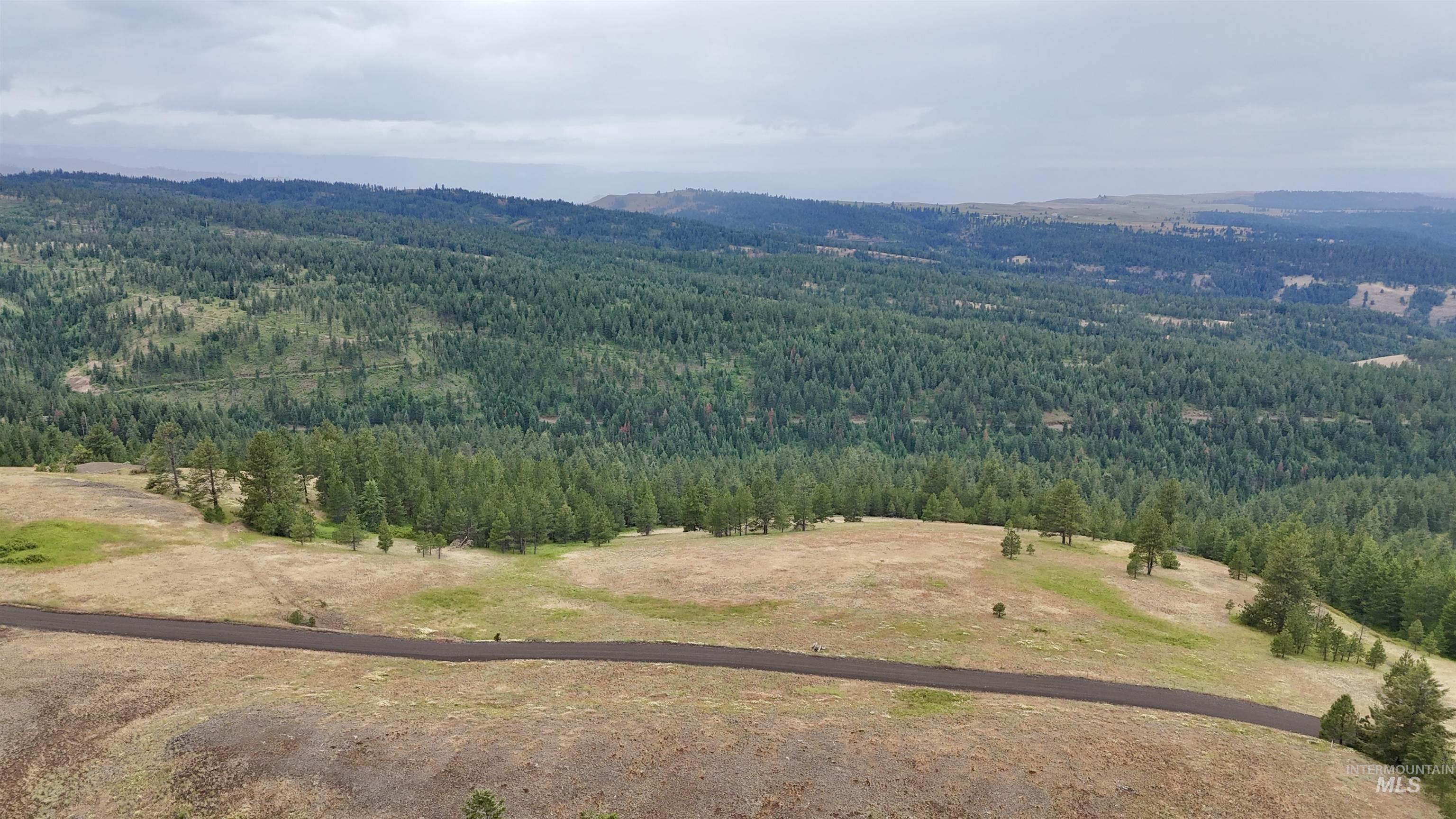 Lot 91 Pilgrim Ridge Road White Bird, ID 83554 - Photo 17 of 35