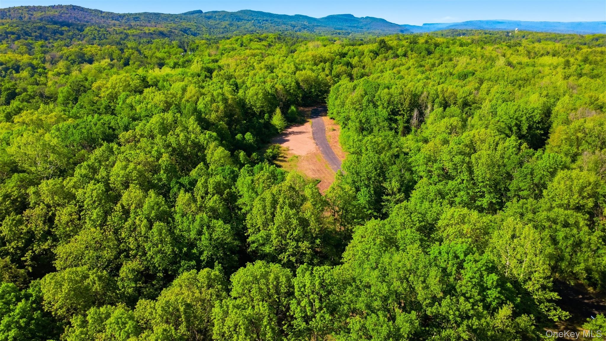238 Bruceville Road High Falls, NY 12440 - Photo 9 of 15