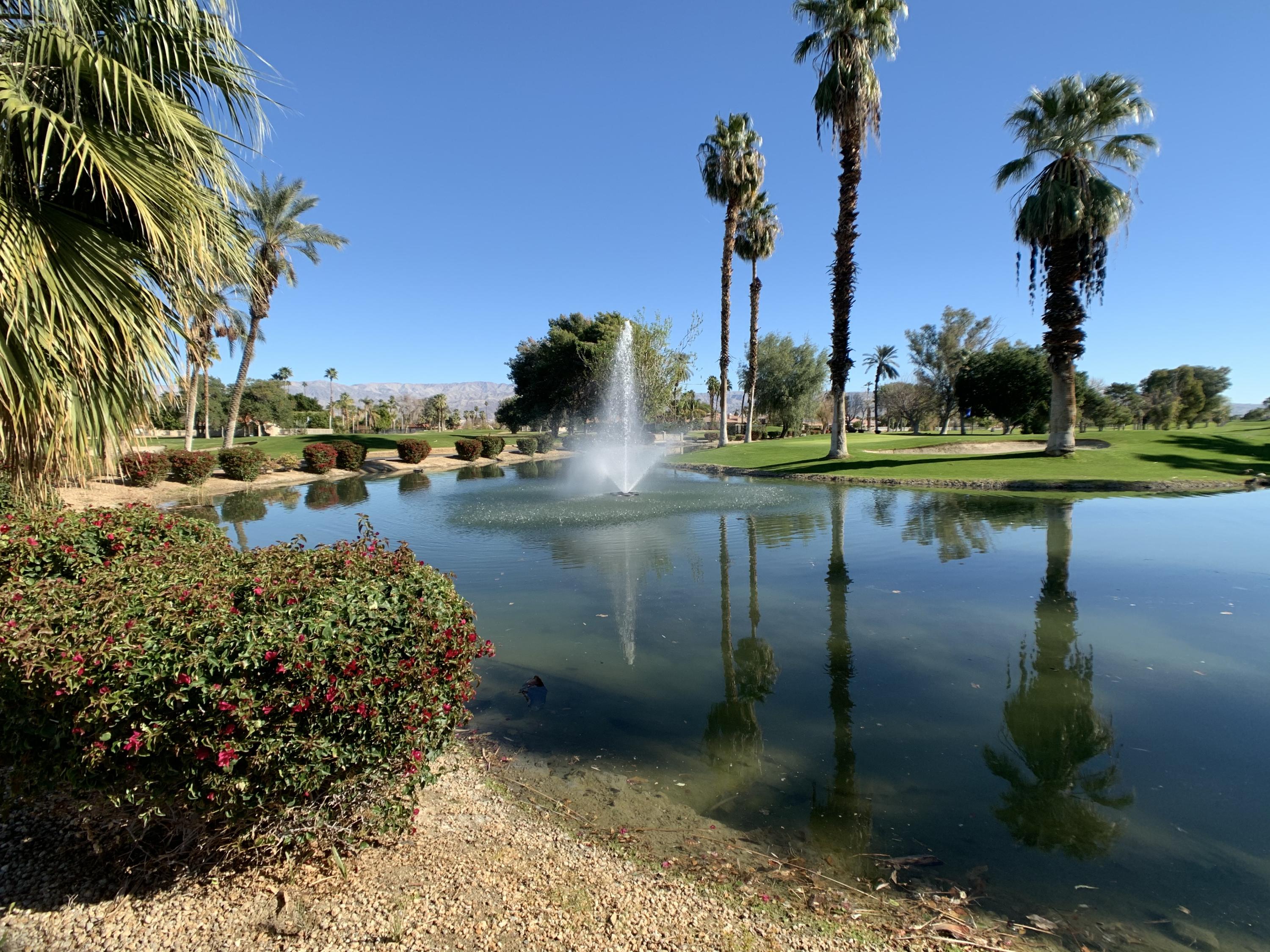 49926 Lewis Road Indio, CA 92201 - Photo 50 of 54 IMG_8177