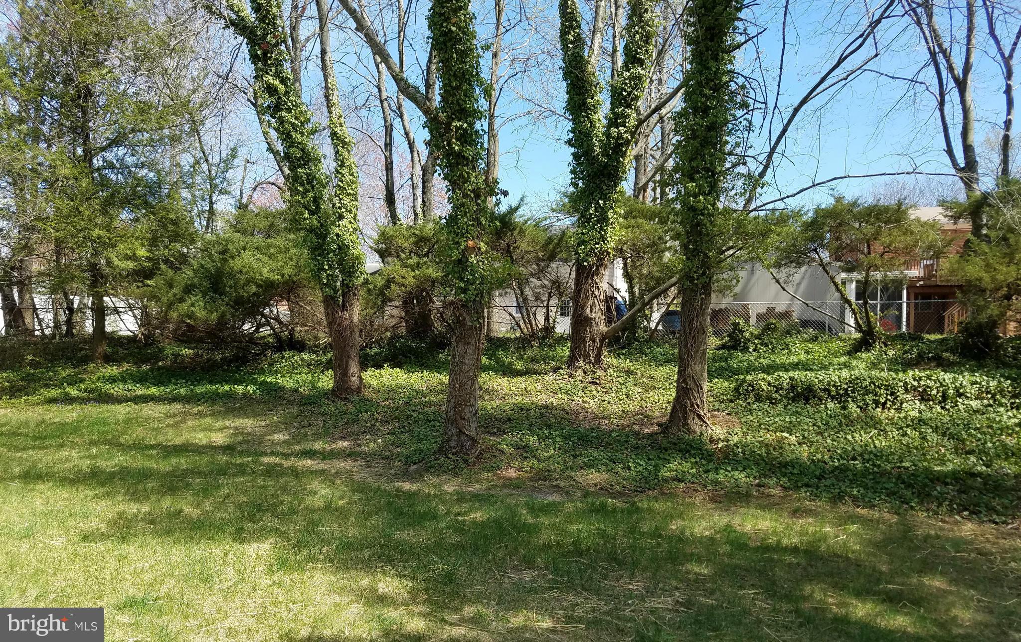 12908 Glynis Road Clinton, MD 20735 - Photo 30 of 30 a view of a tree in a yard