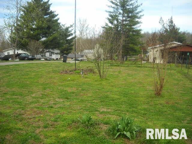 10756 Burbank Road Carbondale, IL 62901 - Photo 19 of 22