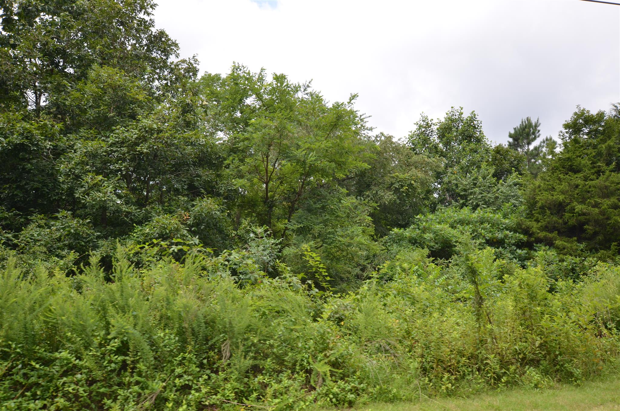 2664 Morgan Road Joelton, TN 37080 - Photo 8 of 12 Gallery Image 8