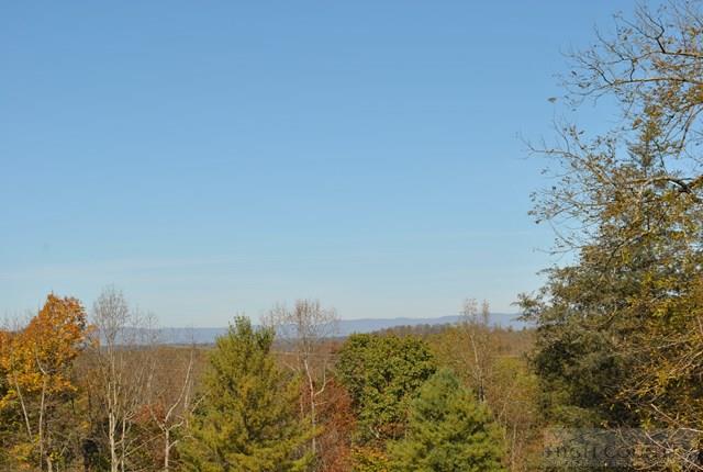 12734 Old 60 Ronda, NC 28670 - Photo 19 of 28 Gallery Image 19