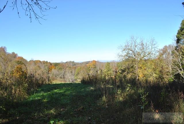 12734 Old 60 Ronda, NC 28670 - Photo 20 of 28 Gallery Image 20