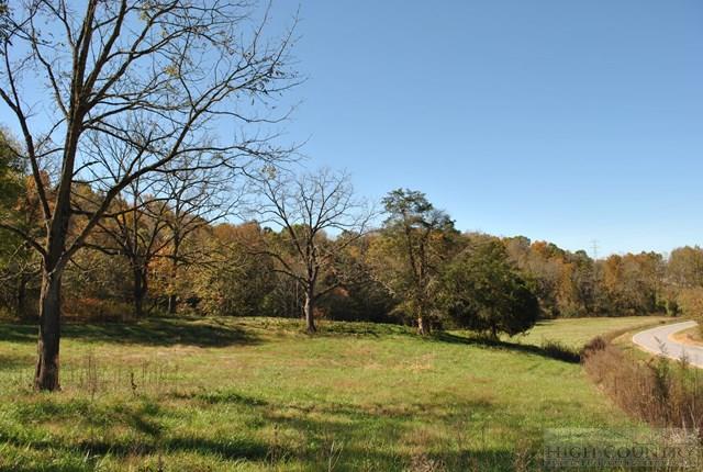 12734 Old 60 Ronda, NC 28670 - Photo 7 of 28 Gallery Image 7