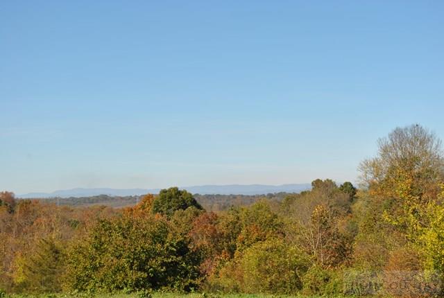 12734 Old 60 Ronda, NC 28670 - Photo 8 of 28 Gallery Image 8