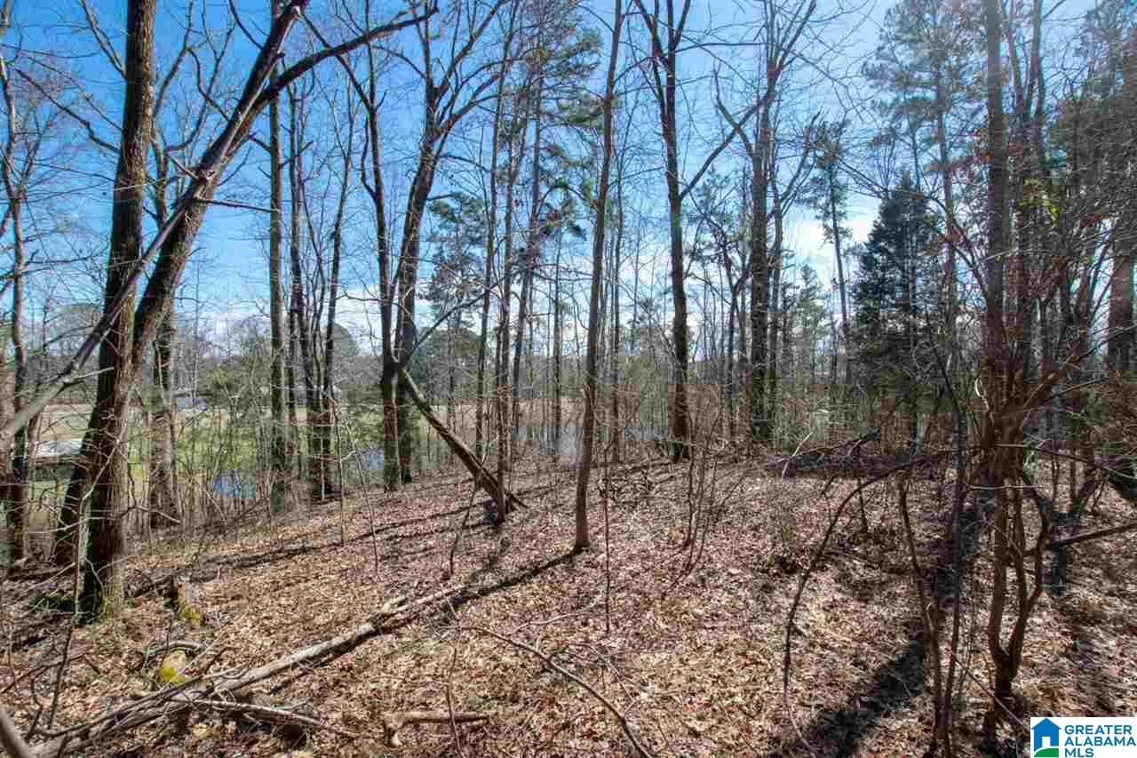 960 Rock Springs Road Warrior, AL 35180 - Photo 38 of 46