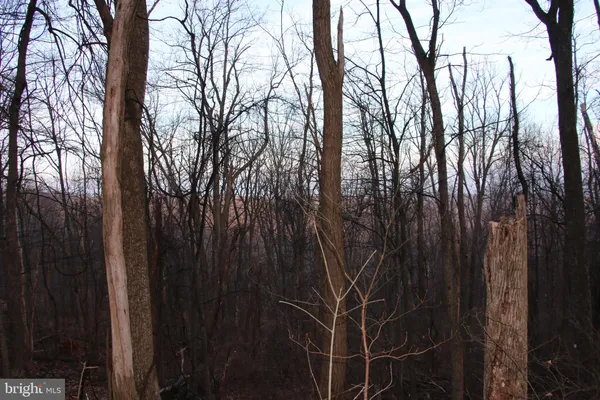 a view of small space with yard and wooden fence