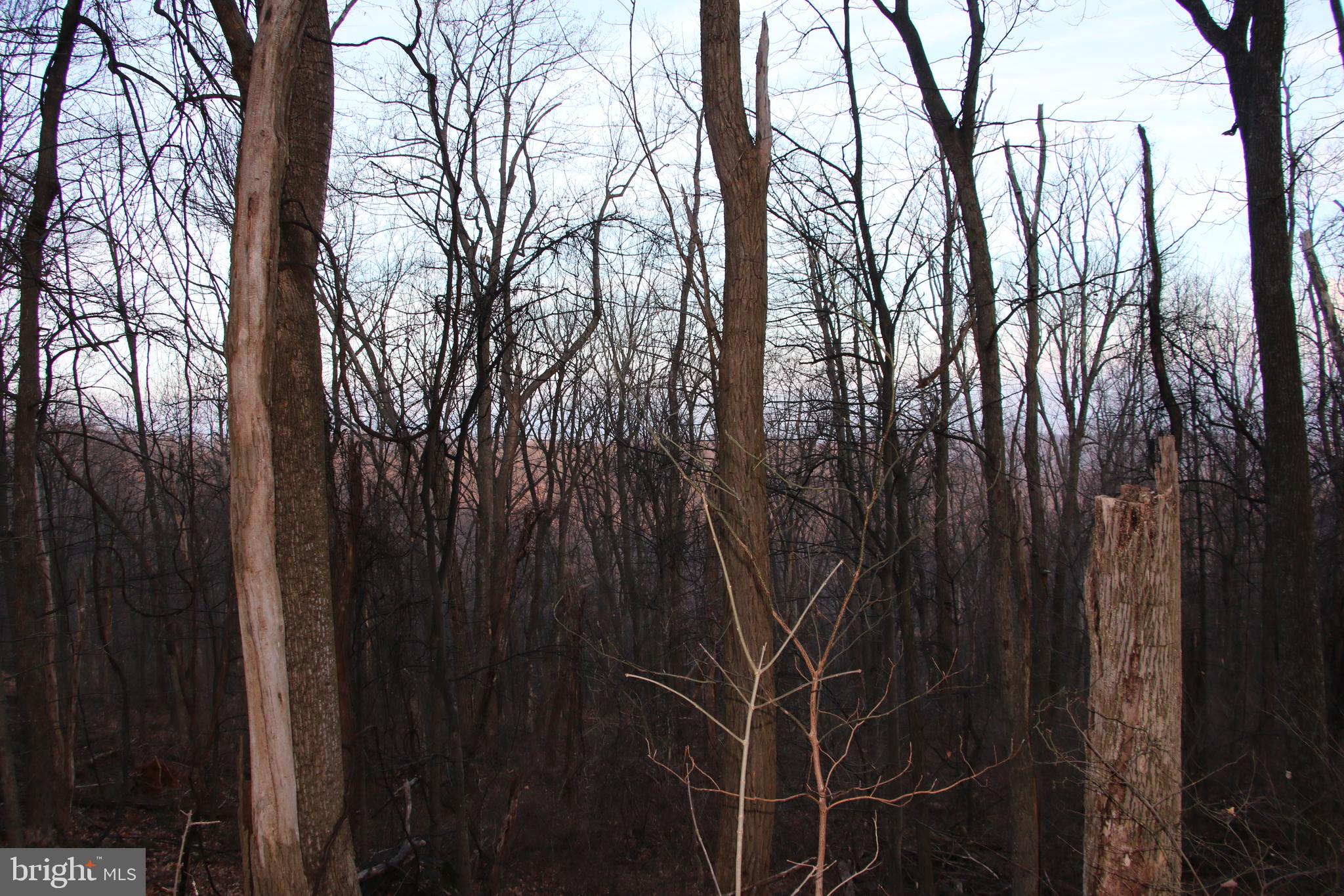 Windy Way Front Royal, VA 22630 - Photo 13 of 18 a view of small space with yard and wooden fence