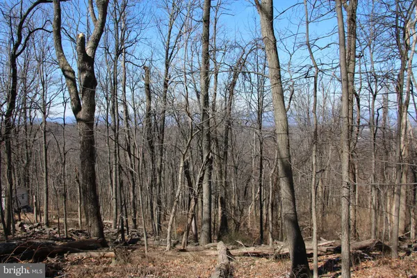 a view of a backyard of the house