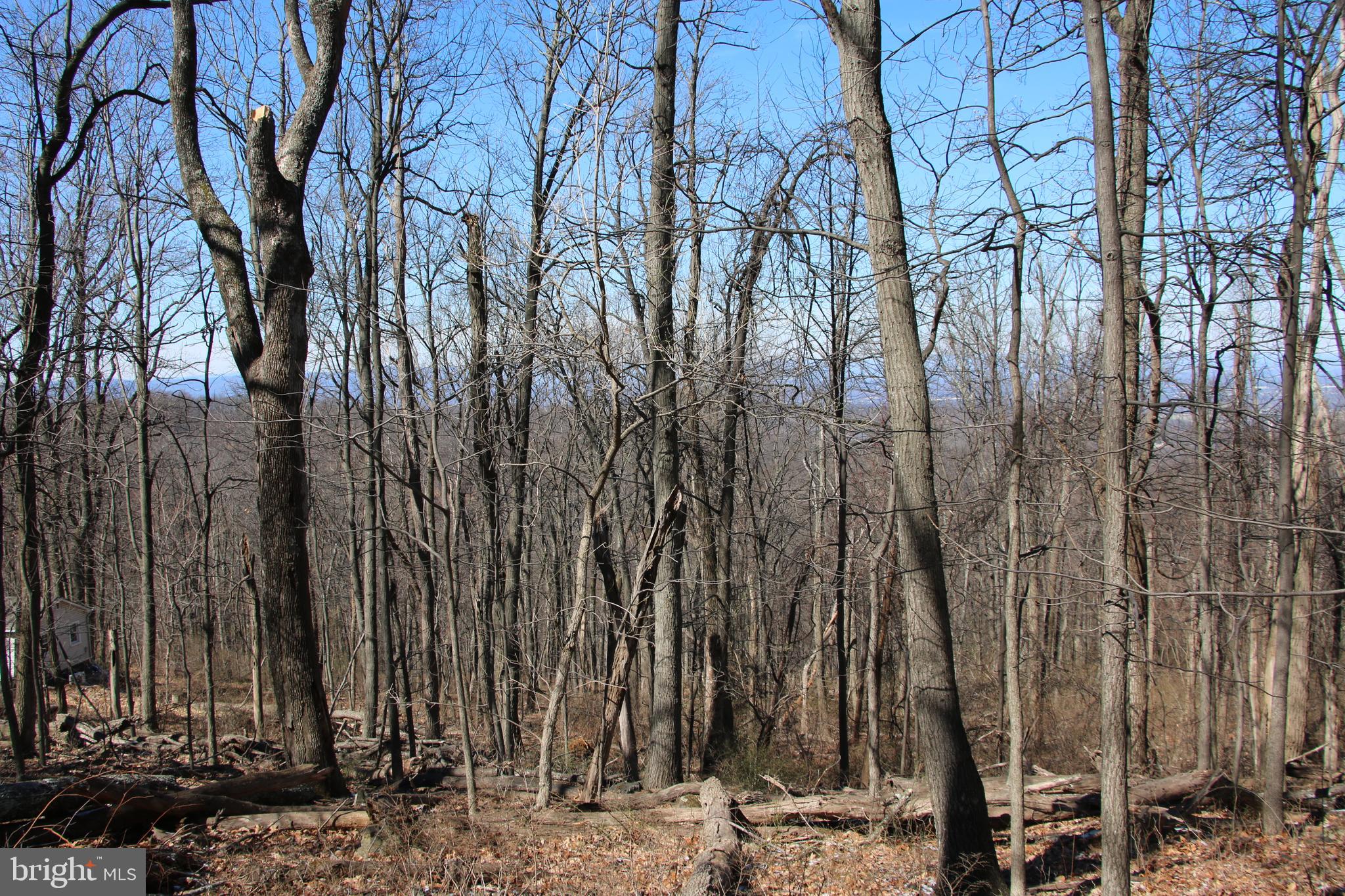 Windy Way Front Royal, VA 22630 - Photo 3 of 18 a view of a backyard of the house