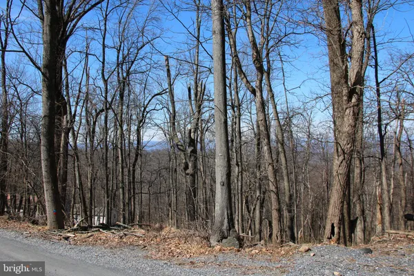 a view of a backyard of the house