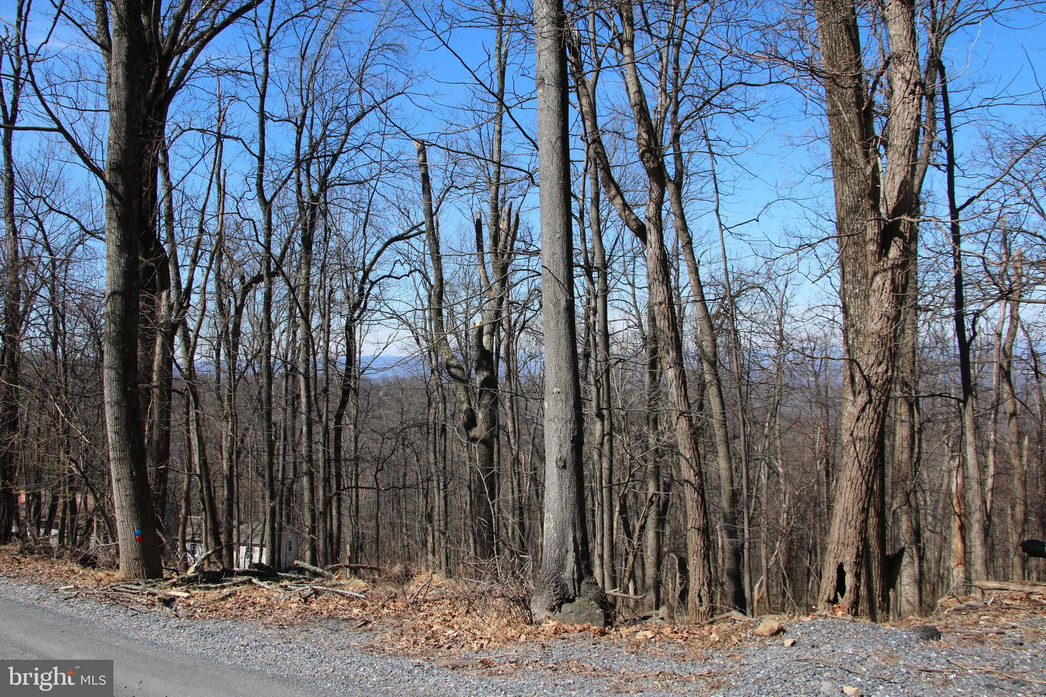 Windy Way Front Royal, VA 22630 - Photo 6 of 18 a view of a backyard of the house