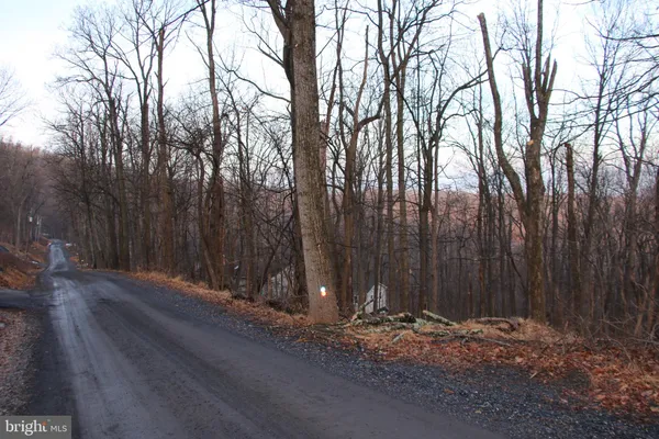 a backyard of a house with trees
