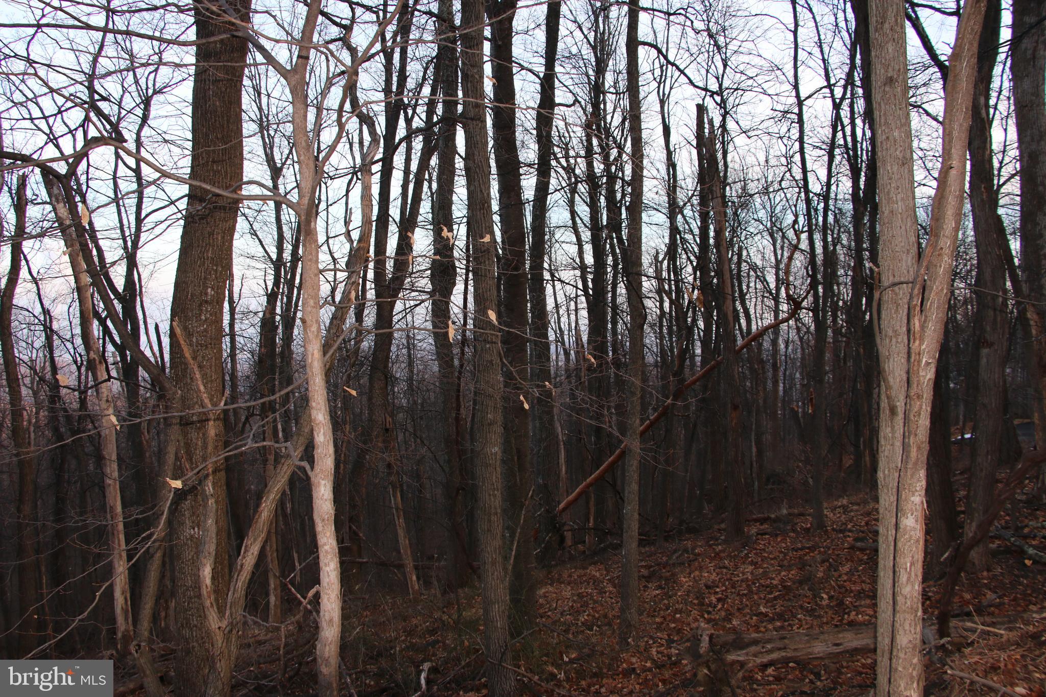 Windy Way Front Royal, VA 22630 - Photo 10 of 18 a view of a backyard