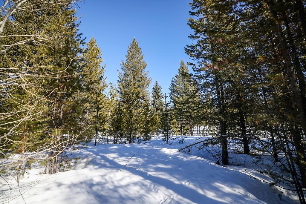 8 Haymaker Place, Unit 61 McCall, ID 83638 - Photo 12 of 13