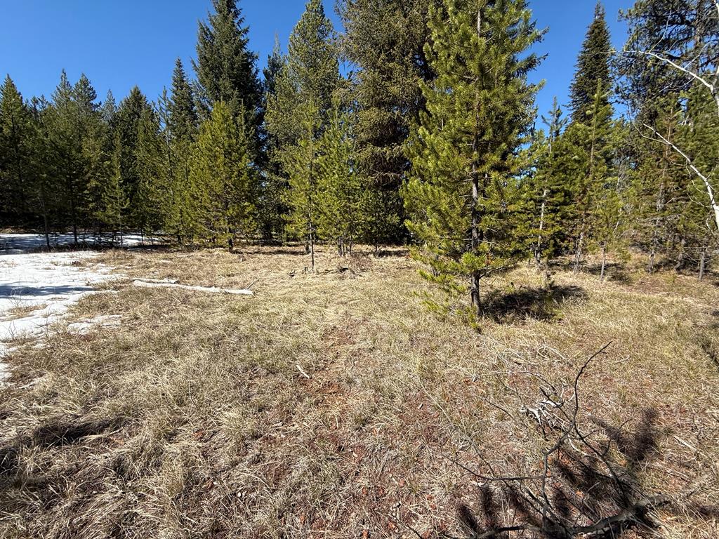 8 Haymaker Place, Unit 61 McCall, ID 83638 - Photo 2 of 13
