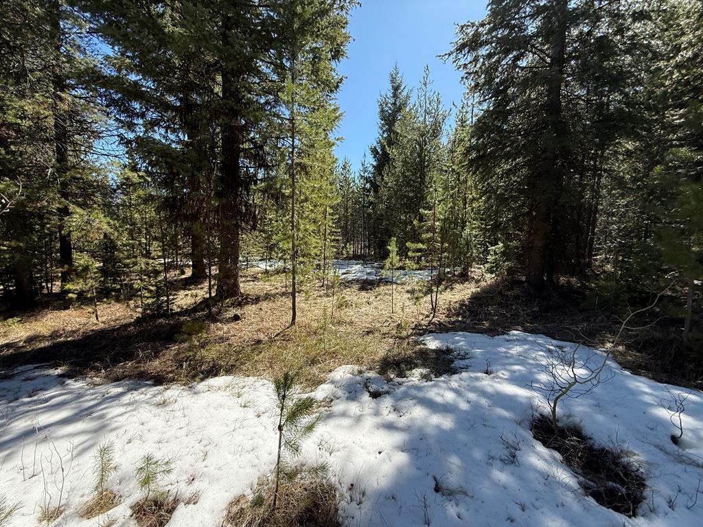 8 Haymaker Place, Unit 61 McCall, ID 83638 - Photo 7 of 13