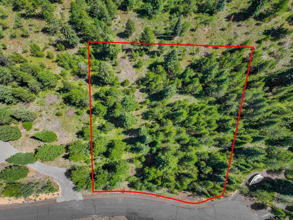 8 Haymaker Place, Unit 61 McCall, ID 83638 - Photo 8 of 13