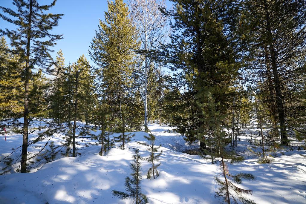 8 Haymaker Place, Unit 61 McCall, ID 83638 - Photo 8 of 11