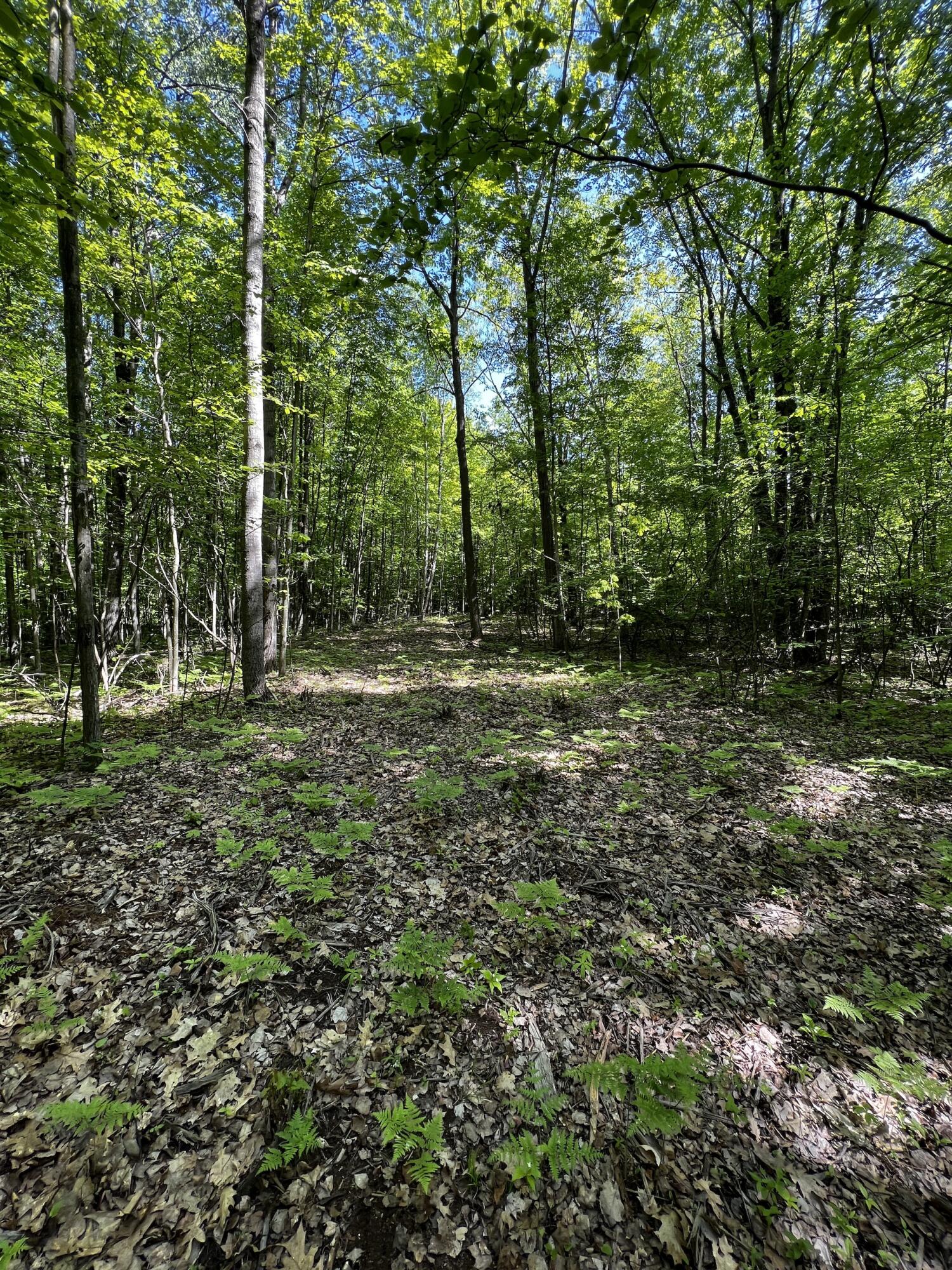 Pinconning Road Beaverton, MI 48612 - Photo 20 of 32 IMG_1540