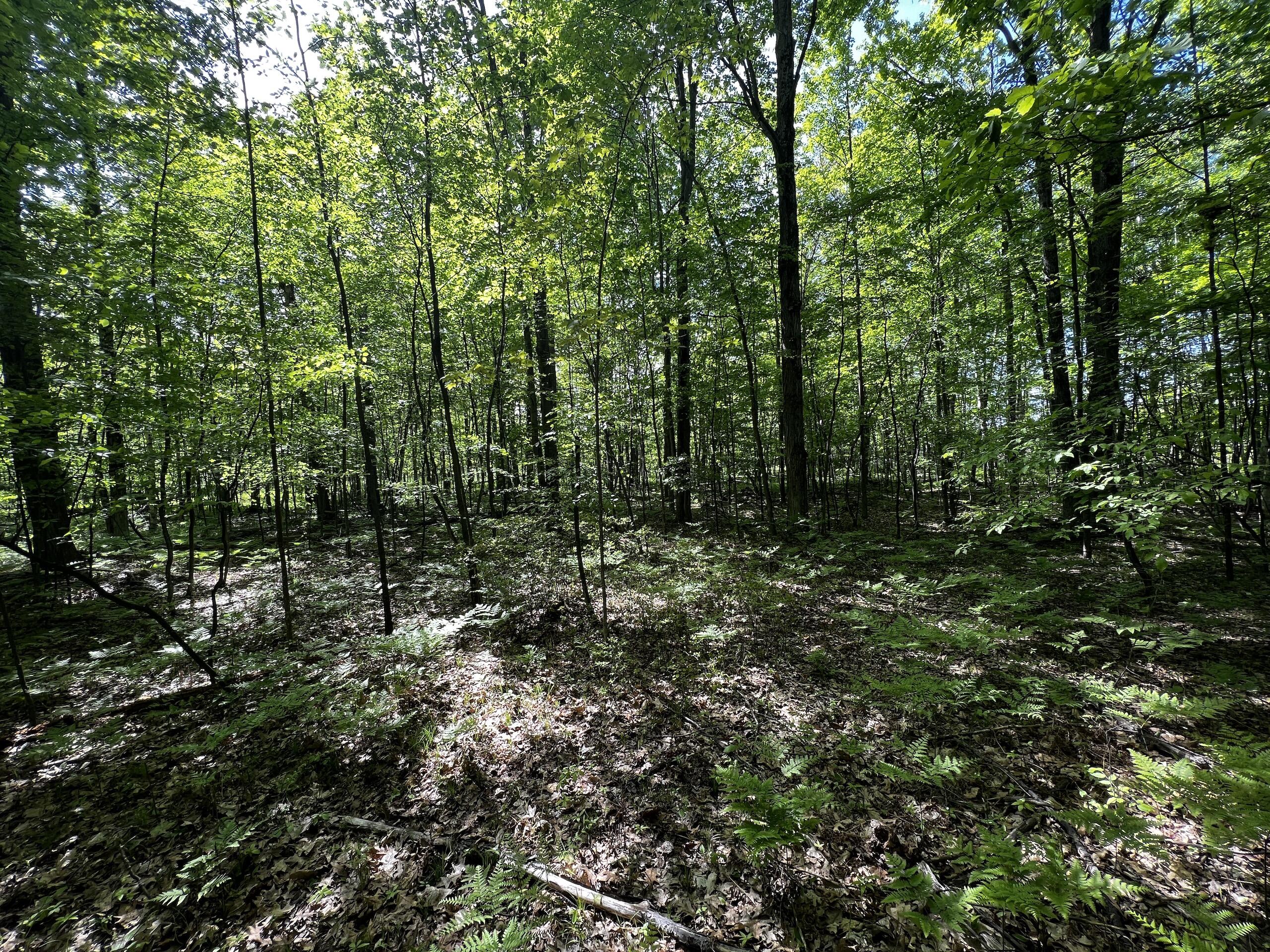 Pinconning Road Beaverton, MI 48612 - Photo 24 of 32 IMG_1544