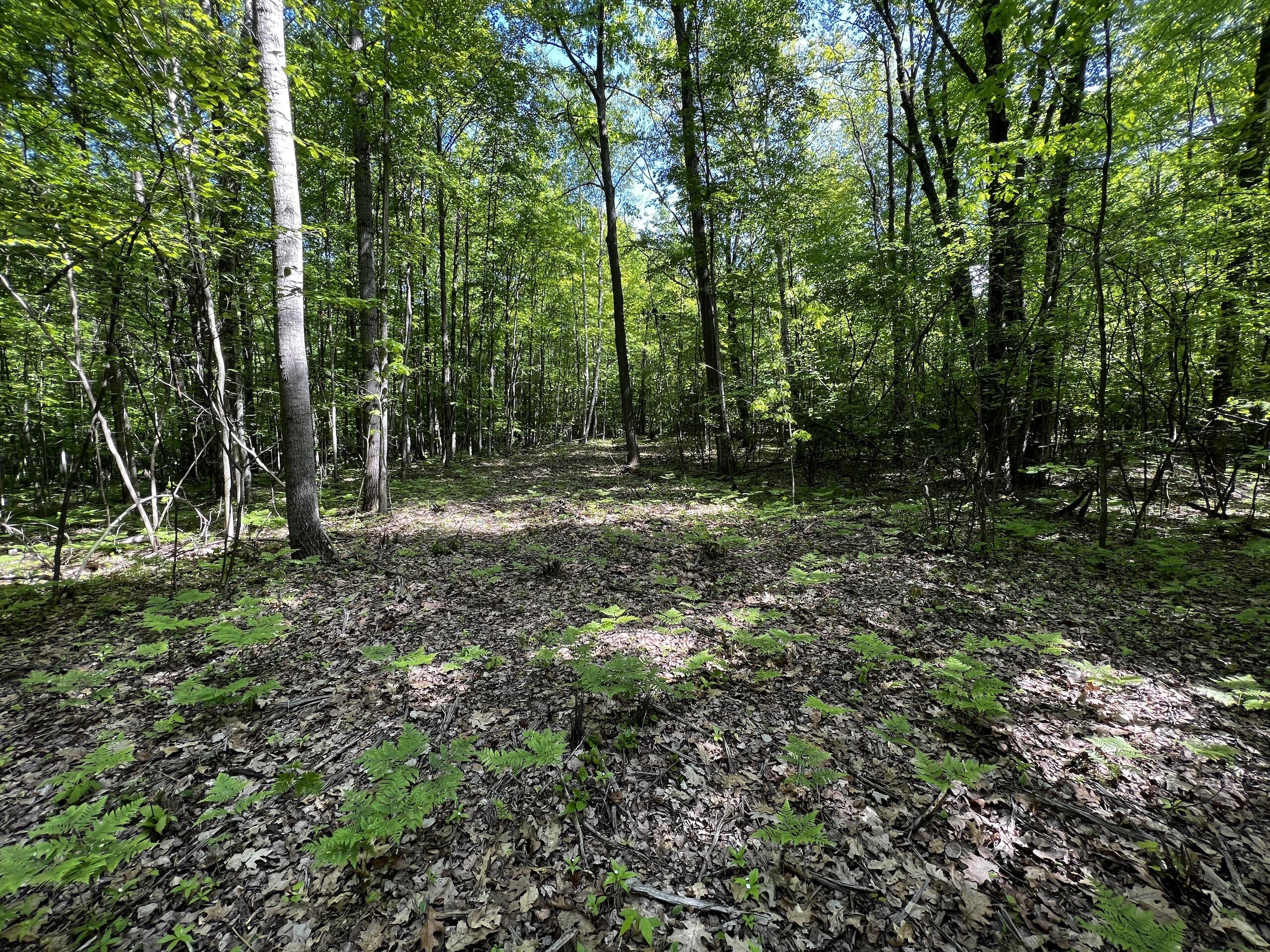 Pinconning Road Beaverton, MI 48612 - Photo 27 of 32 IMG_1547