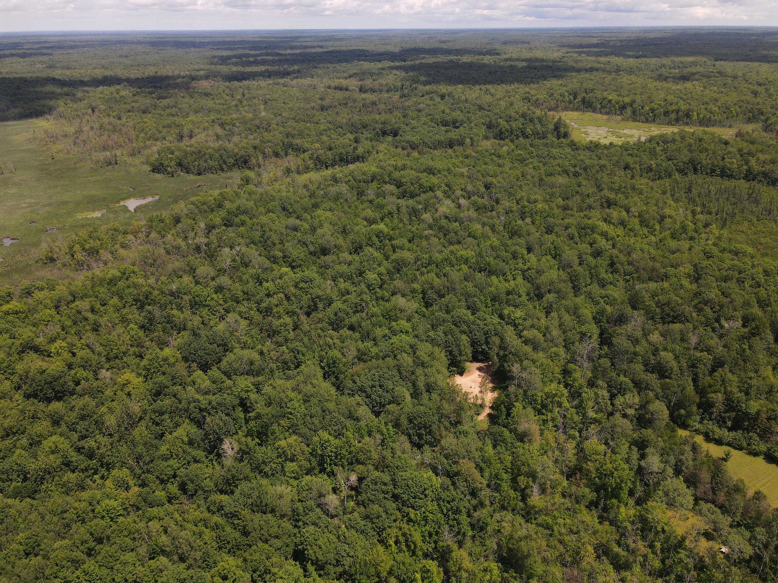 Pinconning Road Beaverton, MI 48612 - Photo 3 of 32 DJI_0213