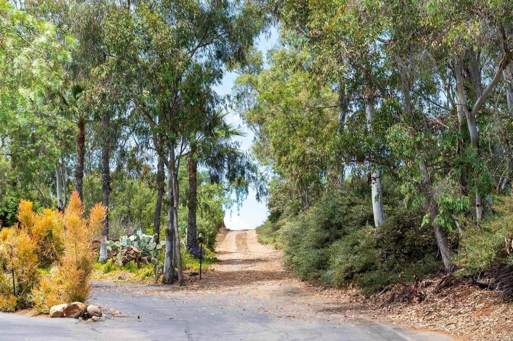 18096 Loma Alegre Rancho Santa Fe, CA 92067 - Photo 10 of 21 a view of outdoor space and yard