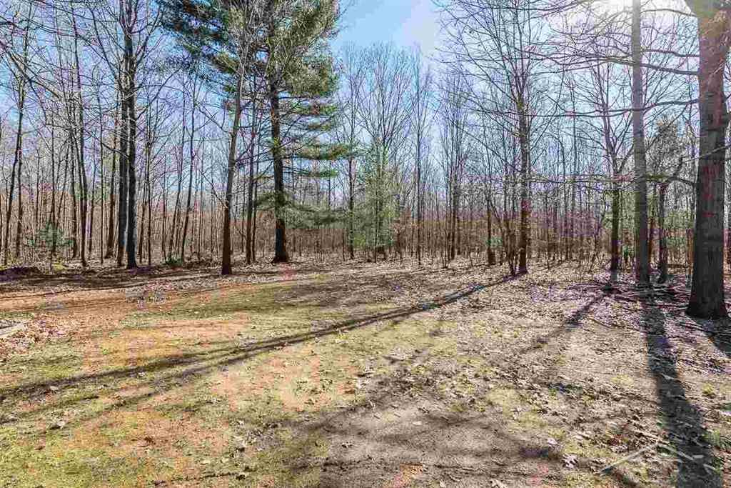 10813 East Valley Road Mount Pleasant, MI 48858 - Photo 20 of 22
