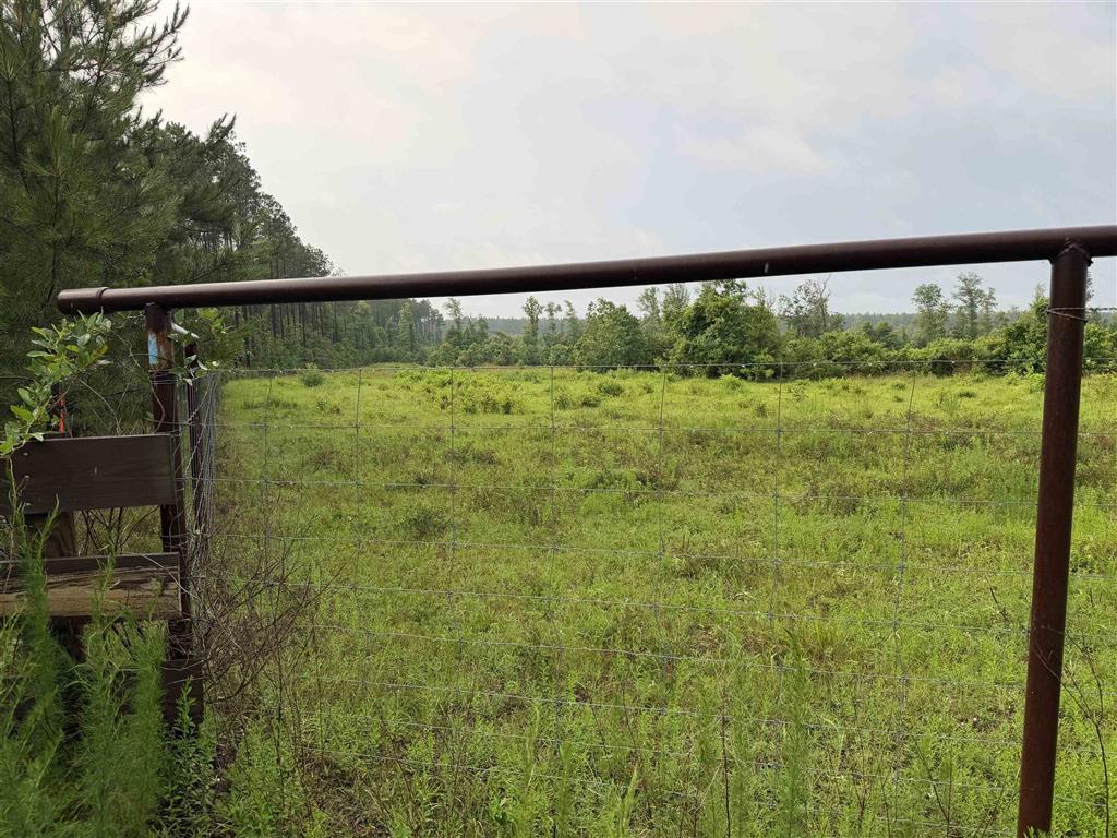 James Manning Road Deridder, LA 70634 - Photo 9 of 10