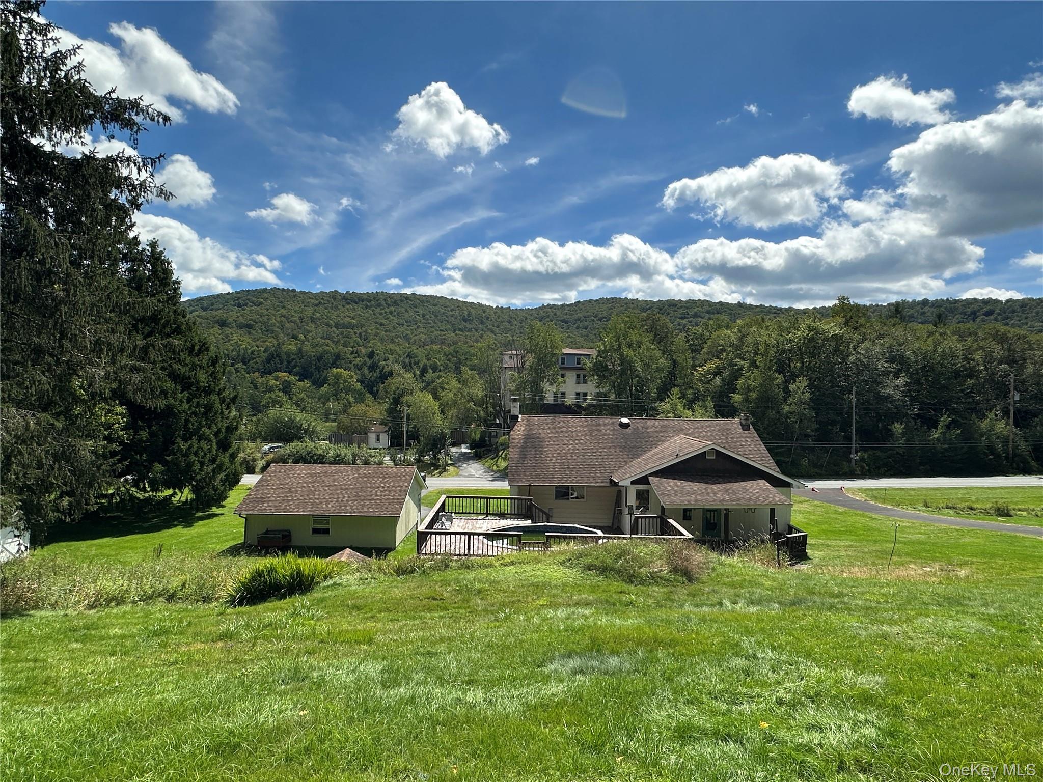 979 Debruce Road Livingston Manor, NY 12758 - Photo 11 of 31 Gallery Image 11