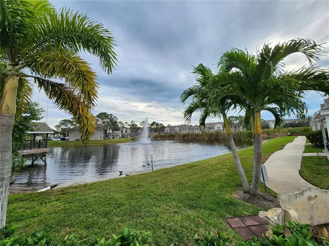 a view of a lake with a big yard and palm trees