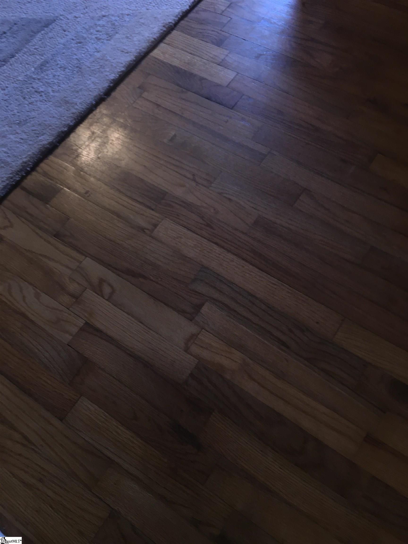1603 Preston Drive Anderson, SC 29621 - Photo 20 of 22 Gallery Image 20